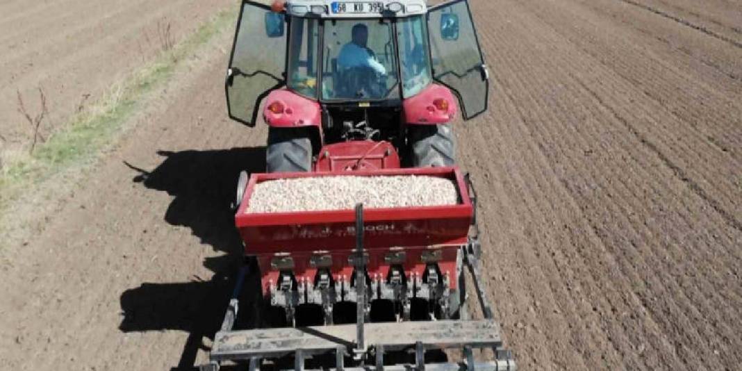 Antibiyotik fabrikalarının gözdesi! 80 bin metrekareden yurt dışına gidecek: Beklenti 150 ton! 3